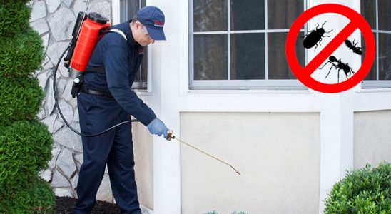Alaplı Gümüşkurt İlaçlama böcek ilaçlama ve haşere kontrolü — ilaclama-tr.com